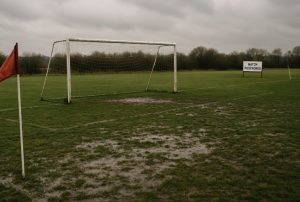 How Are Postponements Affecting the Current Season?